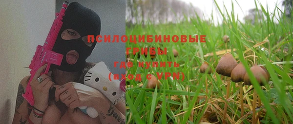 Альфа ПВП Армянск
